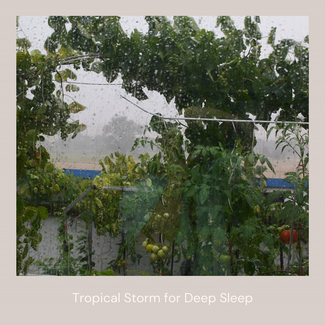 Tropical Storm for Deep Sleep cover