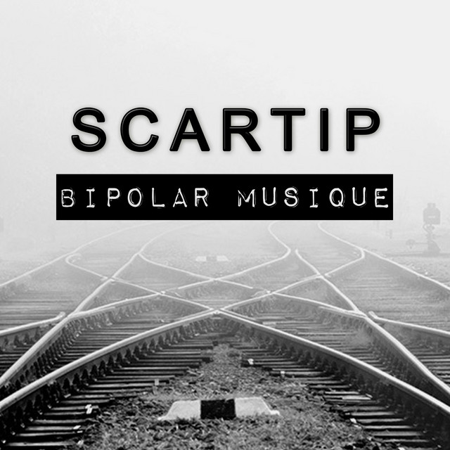 Bipolar Musique artwork