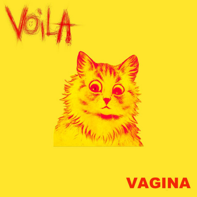 Vagina cover art