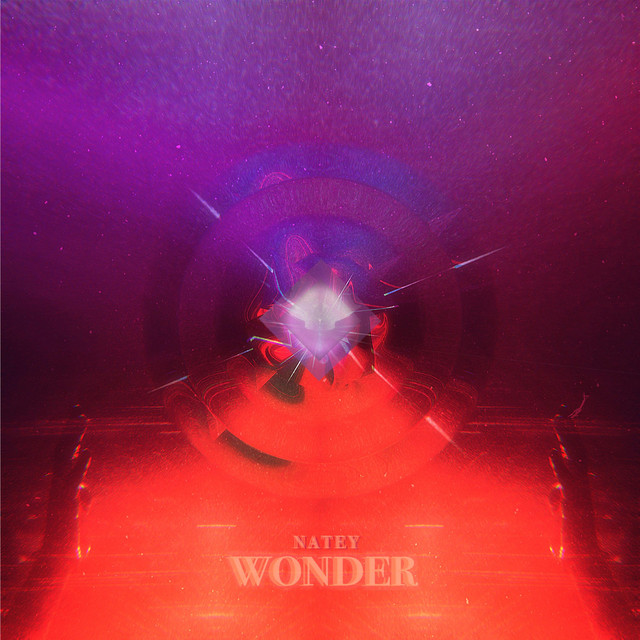Wonder cover art