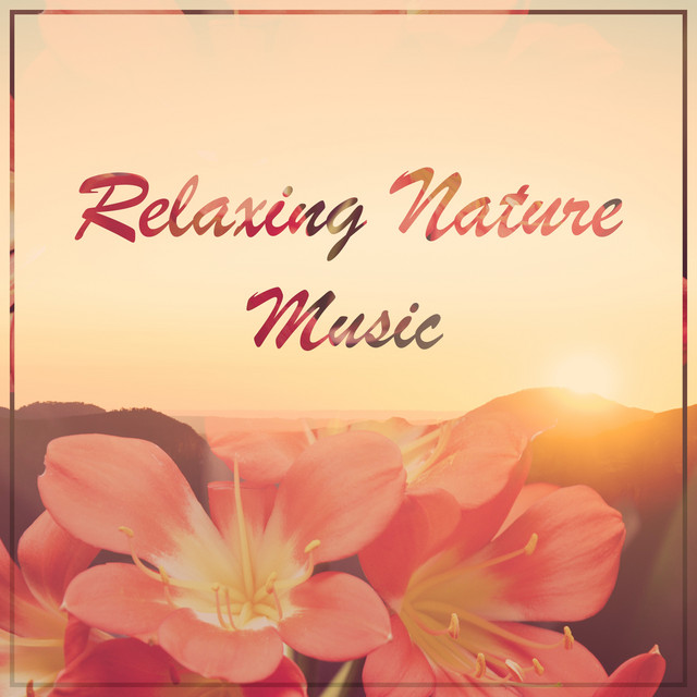 Relaxing Nature Music for Yoga, Sleep and Meditation cover art