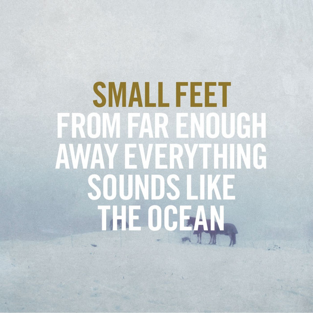 From Far Enough Away Everything Sounds Like The Ocean cover art