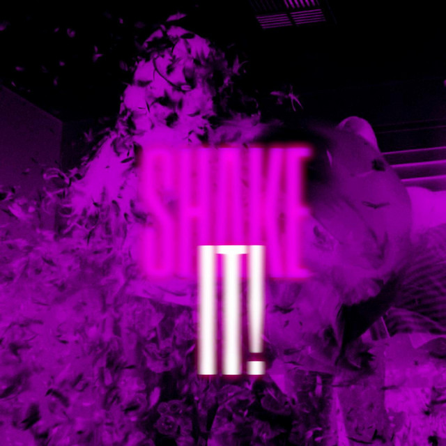 Shake It! cover art