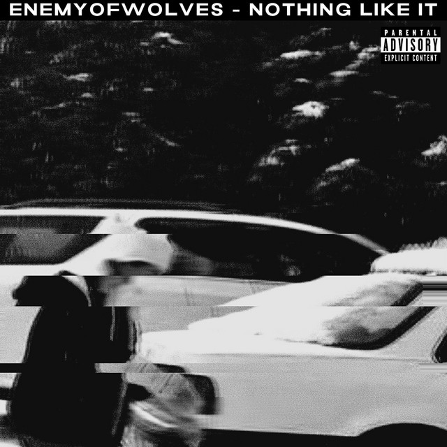 Nothing Like It cover art