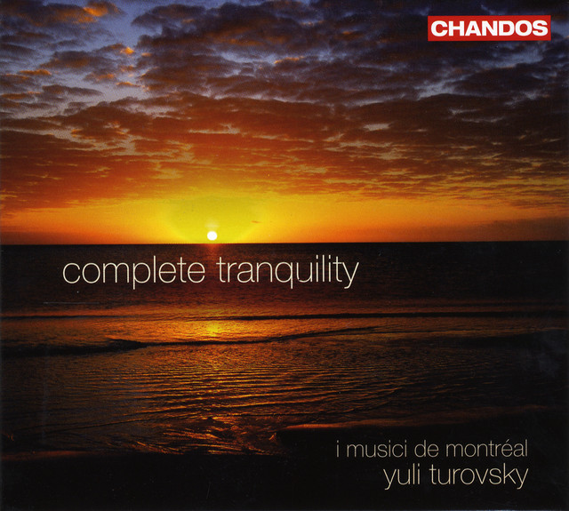 Piano Concerto No. 2 in F Major, Op. 102: II. Andante