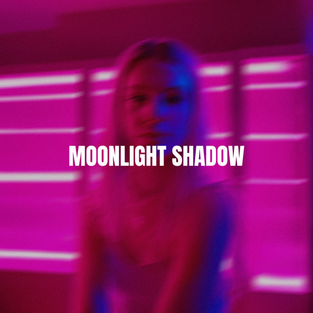 Moonlight Shadow - Techno Version