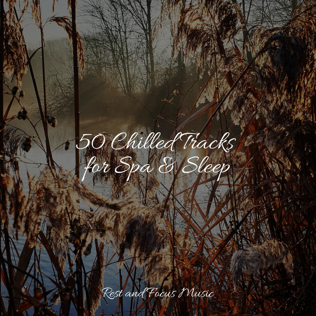 50 Chilled Tracks for Spa & Sleep - Album by Meditation Relaxation Club ...