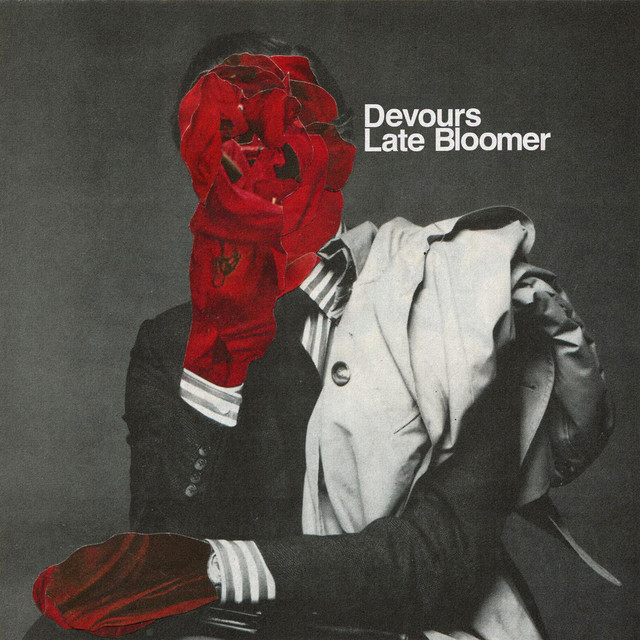 Late Bloomer cover art