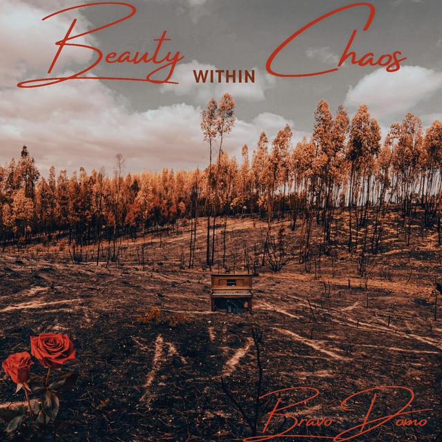 Beauty within Chaos cover art