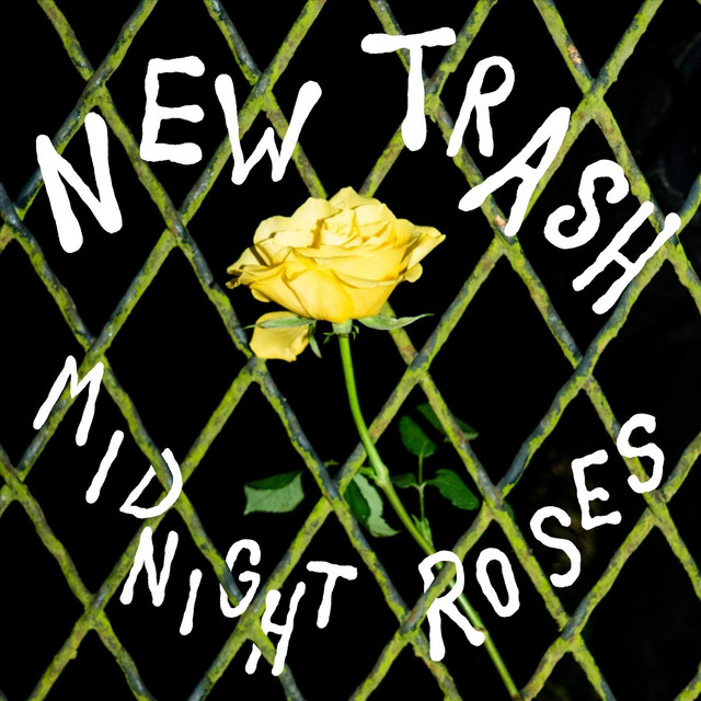 Midnight Roses cover
