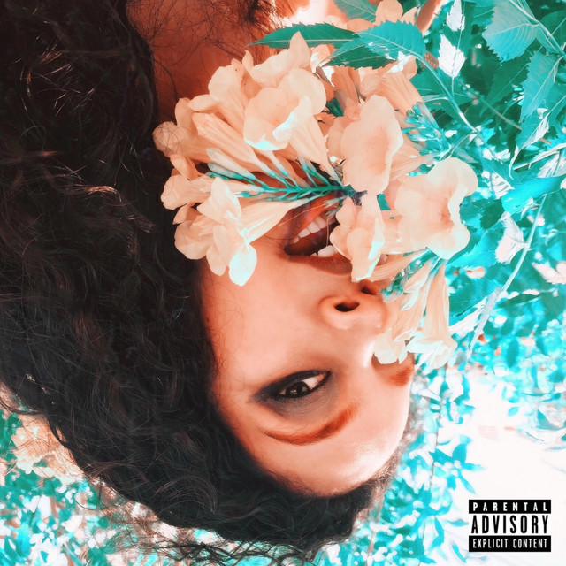 Culota cover