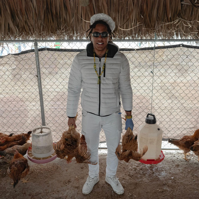 Hialeah Santeria