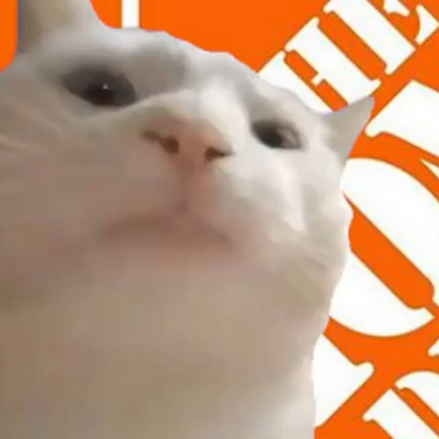 The Home Depot theme except it's a rap song cover art