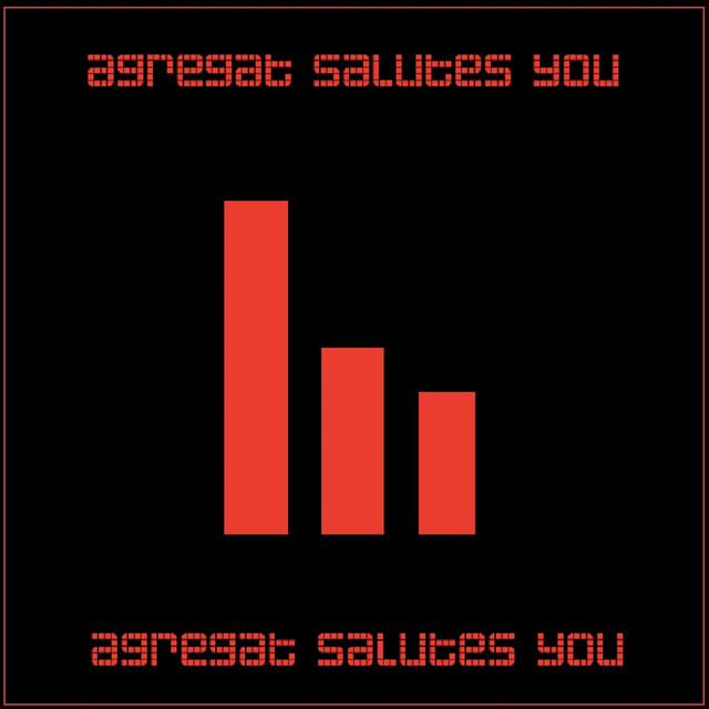 Agregat Salutes You cover art