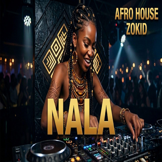 Nala - song and lyrics by Zokid | Spotify