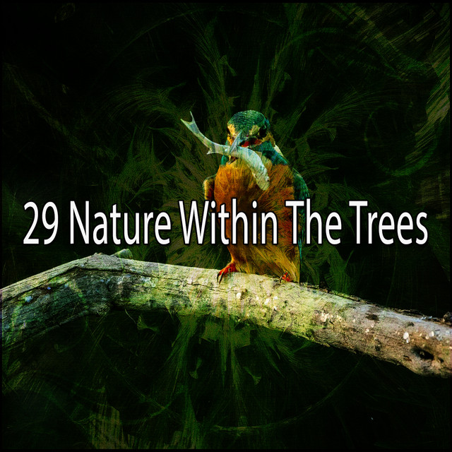 29 Nature Within The Trees - Album by Pro Sound Effects Library | Spotify