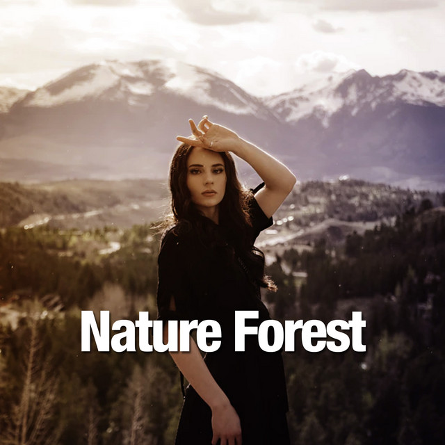Nature Forest ! ! ! - Album by Pro Sounds of Nature | Spotify