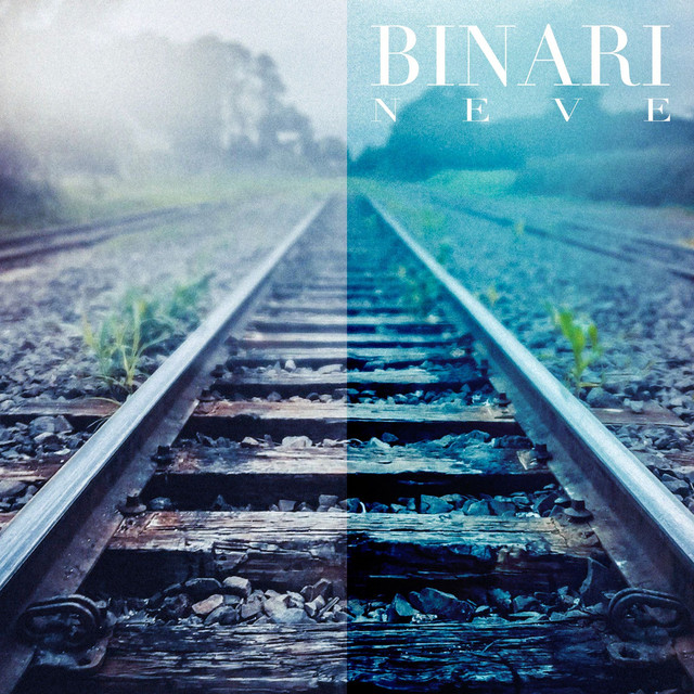 Binari cover art