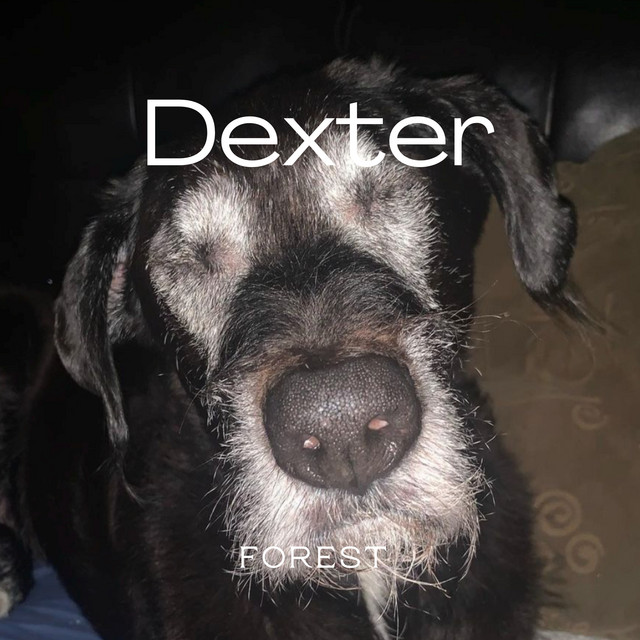 Dexter cover art