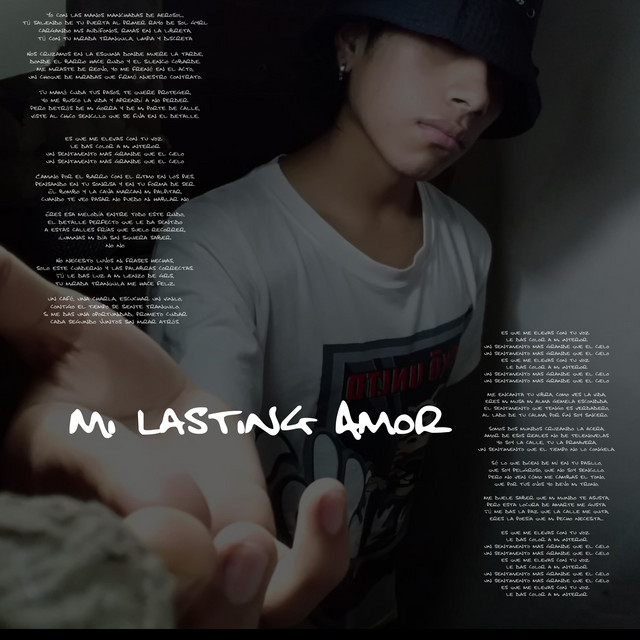 Mi Lasting Amor album image