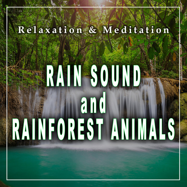 RainForest cover art