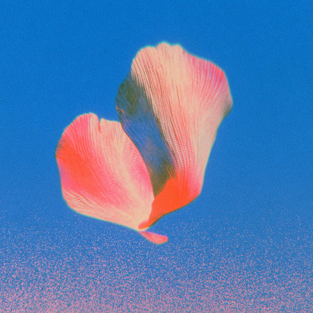 Floating Petal