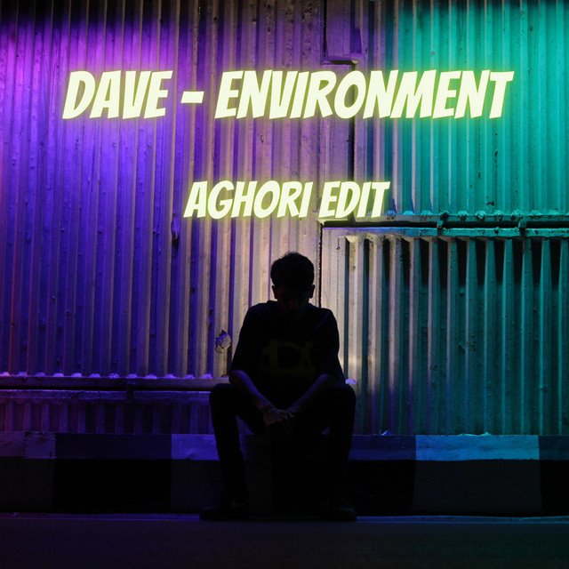 Environment cover art