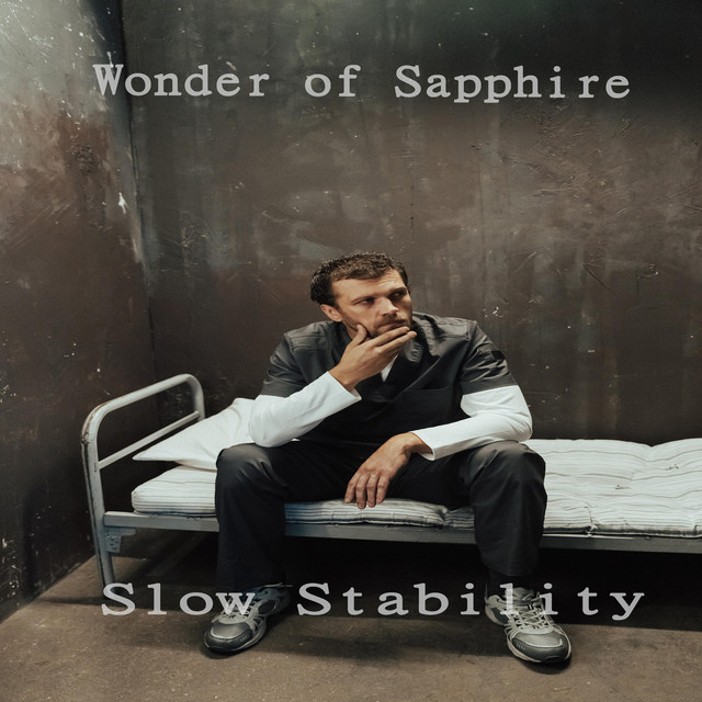 Slow Stability - Album by Wonder of Sapphire | Spotify