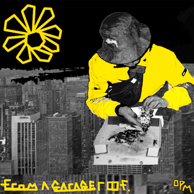 From a Garage Roof. cover art