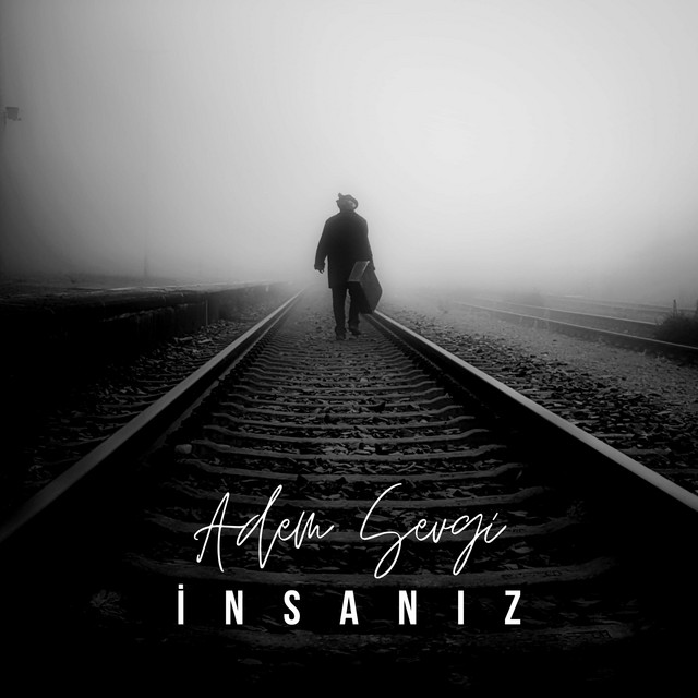 İnsanız cover art