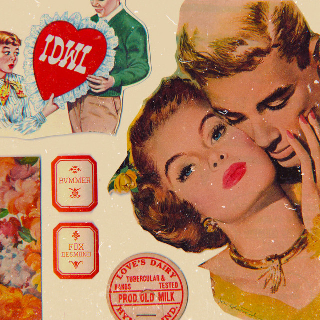 IDWL cover