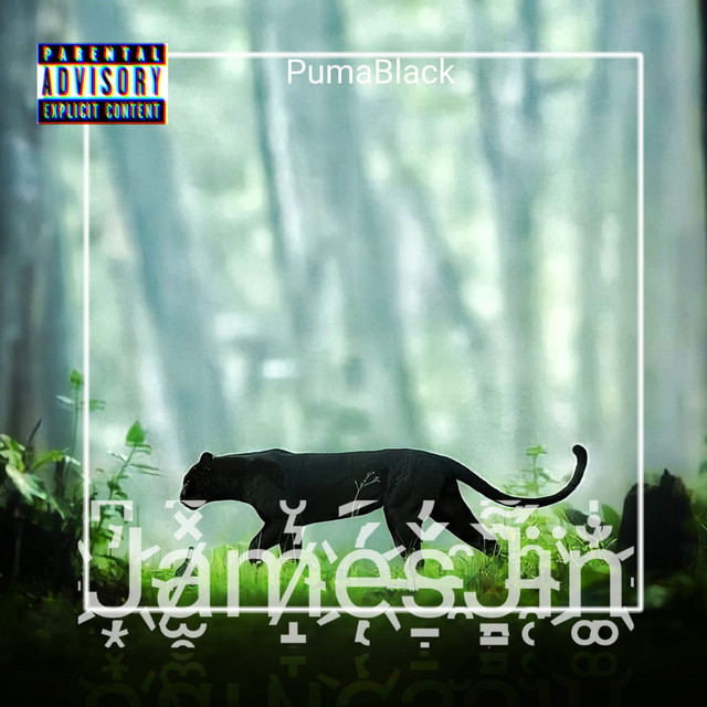 Pumablack cover art