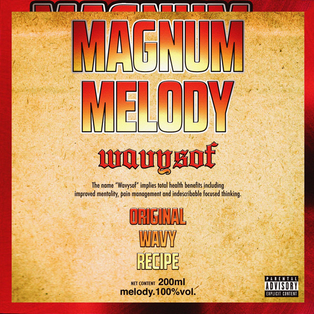 Magnum Melody - Single by Wavysof | Spotify