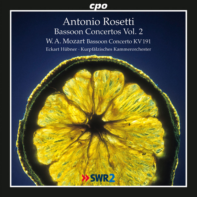 Bassoon Concerto in B-Flat Major, K. 191: II. Andante ma adagio