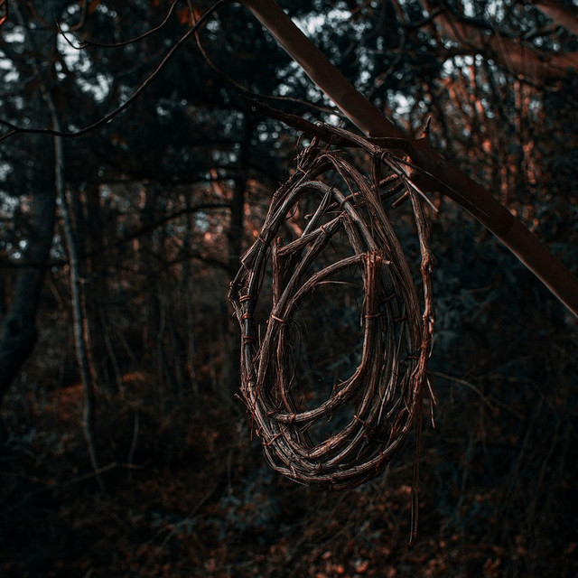 Обкладинка: Арго — Хонест
