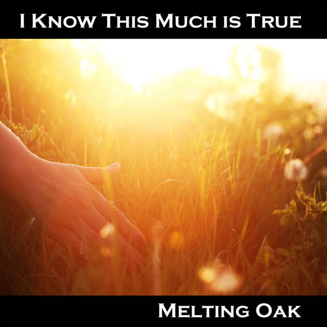 I Know This Much is True cover