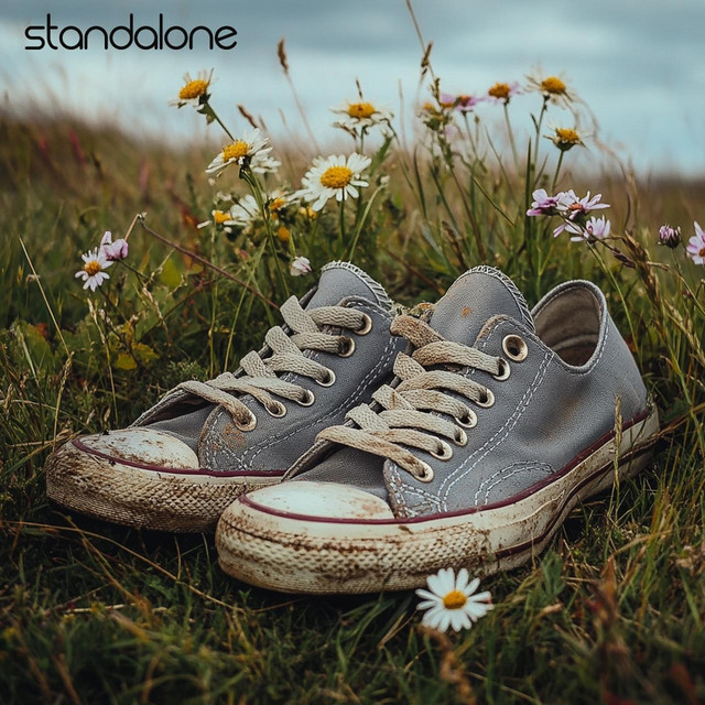 Dirty Shoes cover