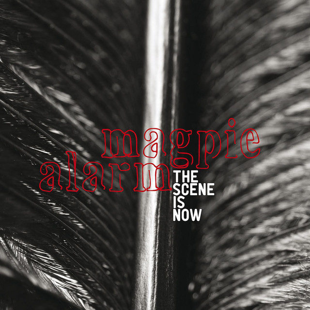 Magpie Alarm cover art