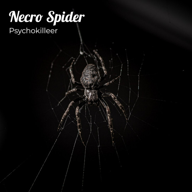 Necro Spider