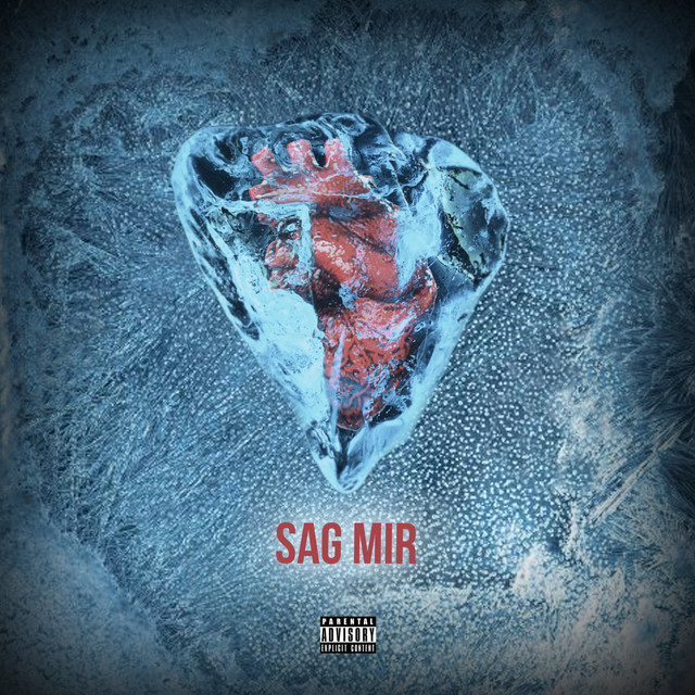 Sag mir cover