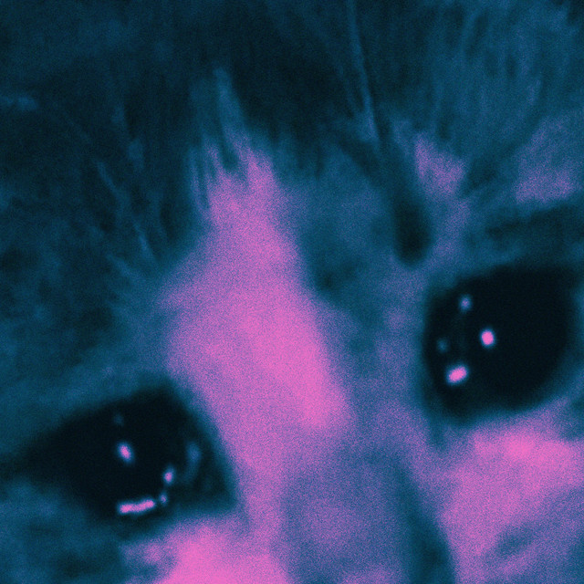 Embeces cover art