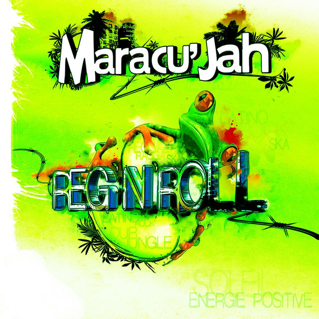 Reg'n'roll cover art