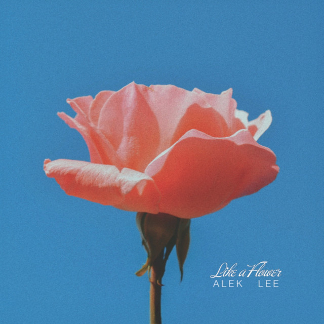 Cover du titre Compensation