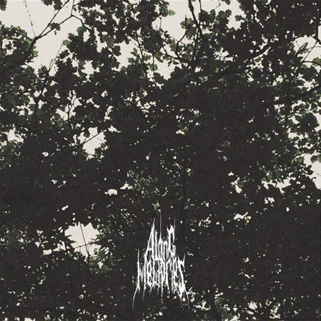 Обкладинка Along Memories — Leaving Emotions