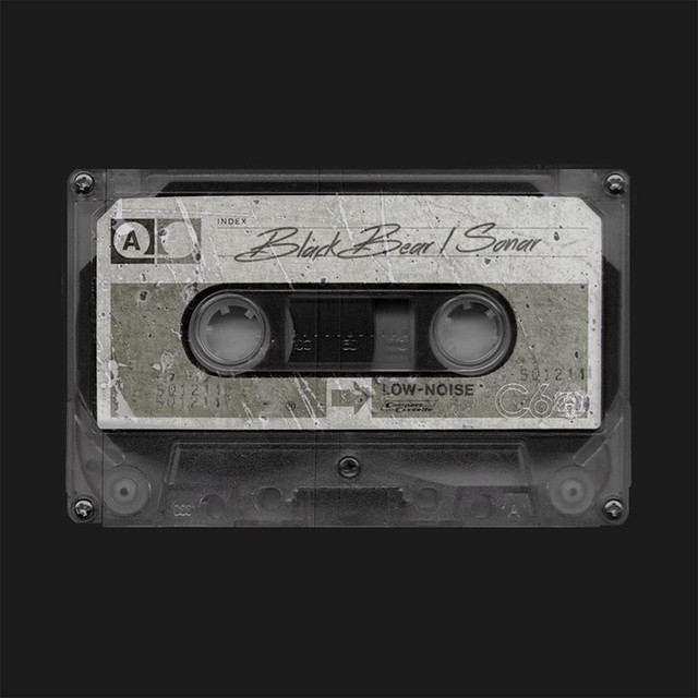 Sonar cover