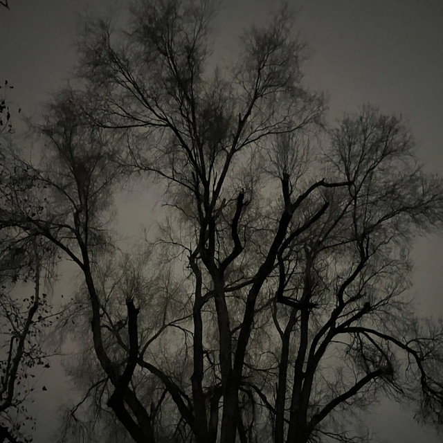 The Darkest Night cover art