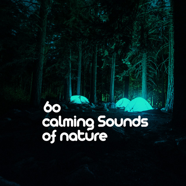 60 Calming Sounds of Nature - Album by Sleep Sounds of Nature | Spotify