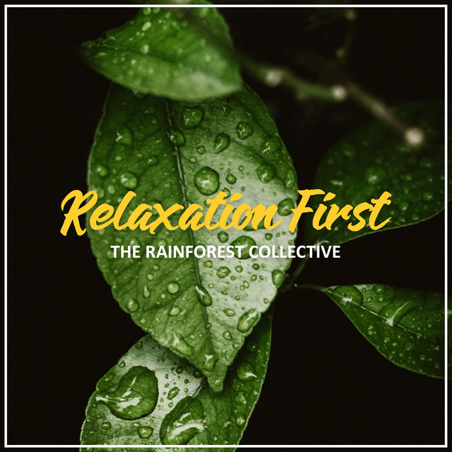 Relaxation First - Album by The Rainforest Collective | Spotify