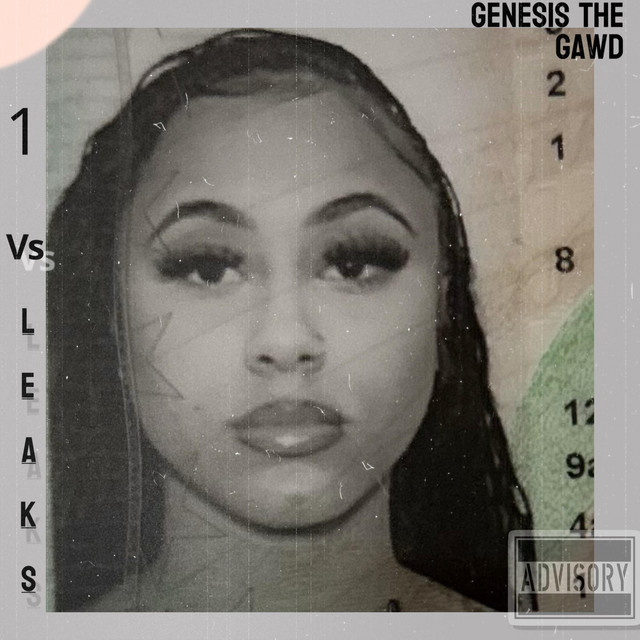 1vsLEAKS