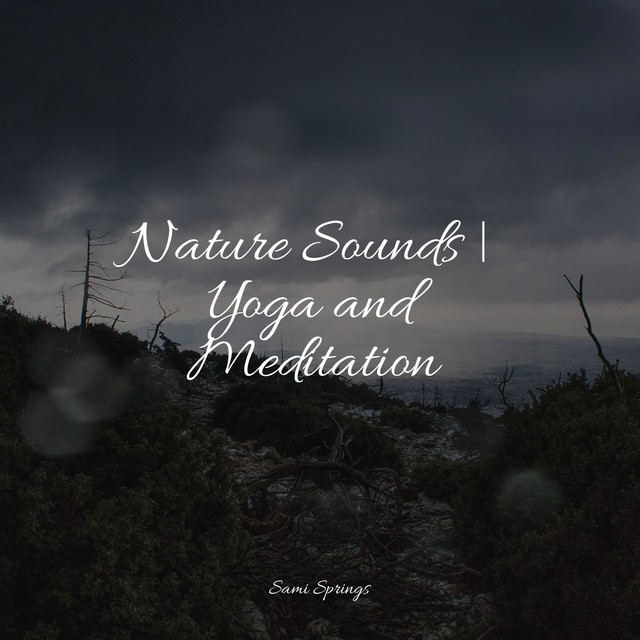 Nature Sounds | Yoga and Meditation - Album by Academia de Meditação ...